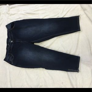 Lane Bryant ankle pants